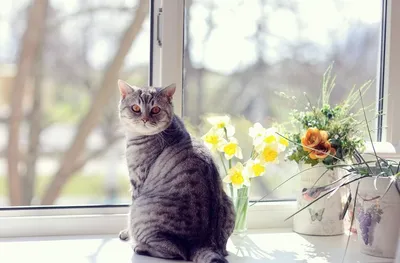 Más Ideas e Inspiración - 2