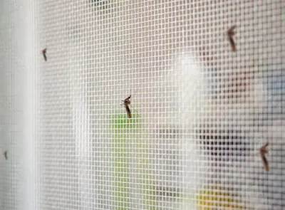 Ejemplos de nuestros trabajos - 5 Ejemplos de nuestros trabajos - 5