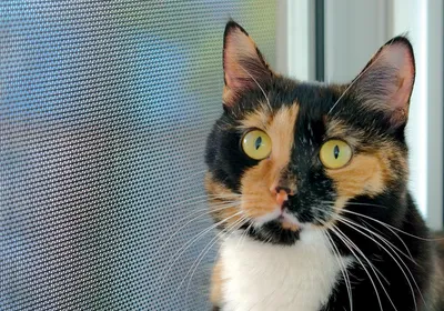 Ejemplos de nuestros trabajos - 3 Ejemplos de nuestros trabajos - 3