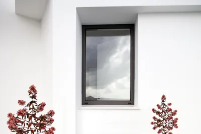 Más Ideas e Inspiración - 3