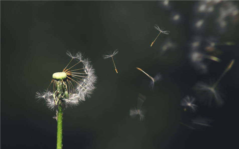 Imagen de diseño técnico